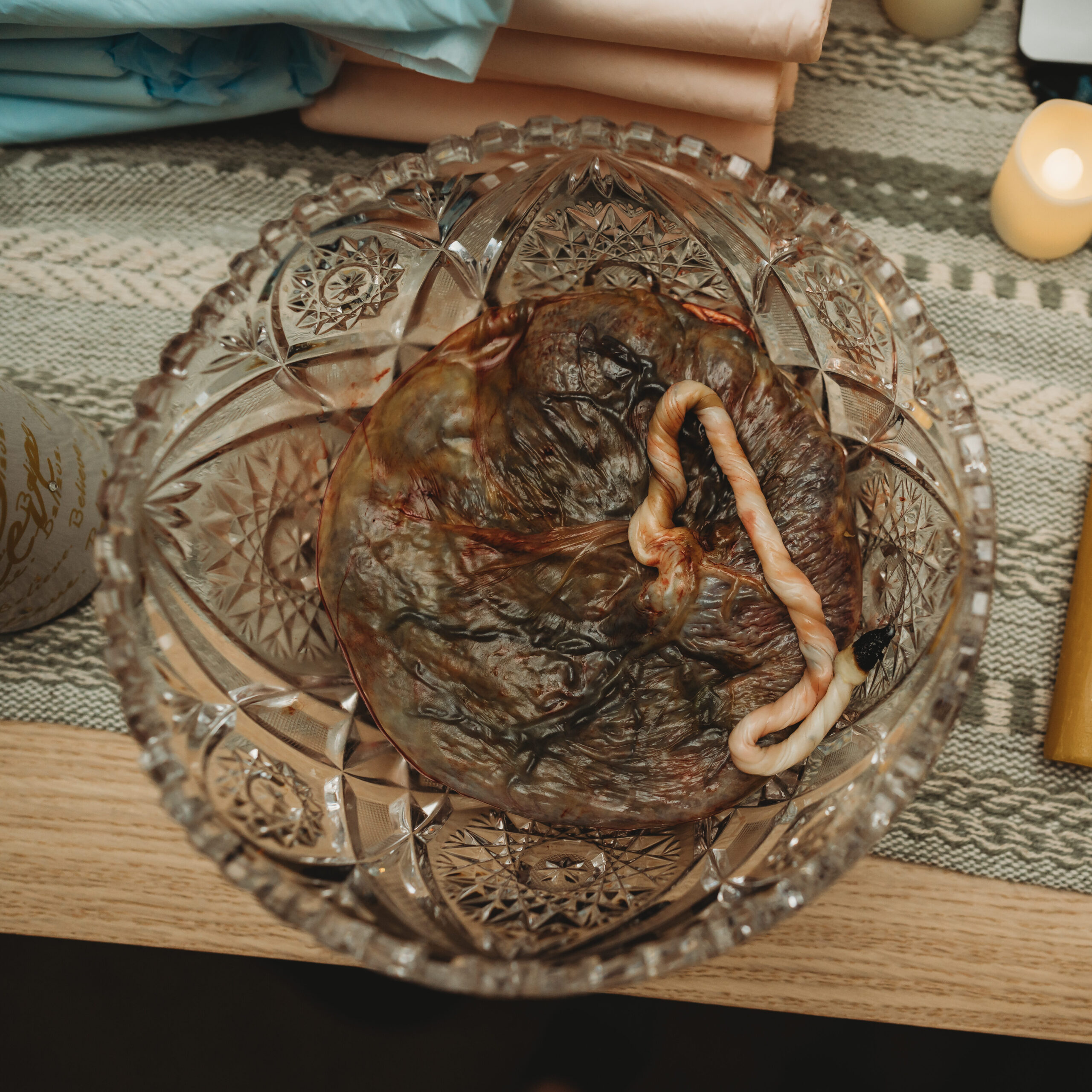 careylaurenphoto 233 copy